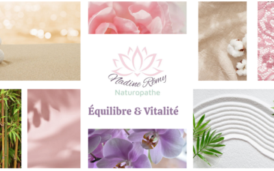 Toxémie : comprendre simplement et agir au quotidien