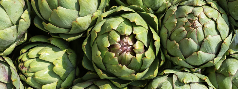 foie_conseils_nadine_naturopathe_04